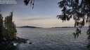 ./images/koeye/fitz-hugh/20260425/fitz-hugh20260425_065501M.jpg