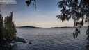 ./images/koeye/fitz-hugh/20260425/fitz-hugh20260425_071501M.jpg