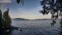 ./images/koeye/fitz-hugh/20260425/fitz-hugh20260425_072001M.jpg