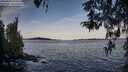 ./images/koeye/fitz-hugh/20260425/fitz-hugh20260425_072501M.jpg