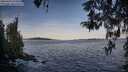 ./images/koeye/fitz-hugh/20260425/fitz-hugh20260425_073501M.jpg