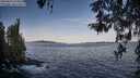 ./images/koeye/fitz-hugh/20260425/fitz-hugh20260425_074501M.jpg