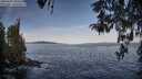 ./images/koeye/fitz-hugh/20260425/fitz-hugh20260425_080501M.jpg