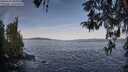 ./images/koeye/fitz-hugh/20260425/fitz-hugh20260425_081001M.jpg