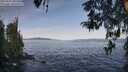 ./images/koeye/fitz-hugh/20260425/fitz-hugh20260425_081501M.jpg