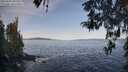 ./images/koeye/fitz-hugh/20260425/fitz-hugh20260425_082501M.jpg