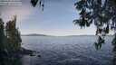 ./images/koeye/fitz-hugh/20260425/fitz-hugh20260425_083501M.jpg