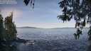 ./images/koeye/fitz-hugh/20260425/fitz-hugh20260425_084001M.jpg