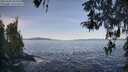 ./images/koeye/fitz-hugh/20260425/fitz-hugh20260425_084502M.jpg