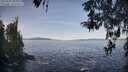 ./images/koeye/fitz-hugh/20260425/fitz-hugh20260425_085002M.jpg