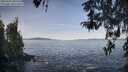./images/koeye/fitz-hugh/20260425/fitz-hugh20260425_085502M.jpg
