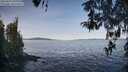 ./images/koeye/fitz-hugh/20260425/fitz-hugh20260425_091001M.jpg