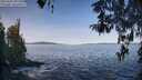 ./images/koeye/fitz-hugh/20260425/fitz-hugh20260425_092501M.jpg