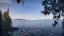 ./images/koeye/fitz-hugh/20260425/fitz-hugh20260425_094001M.jpg
