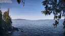 ./images/koeye/fitz-hugh/20260425/fitz-hugh20260425_095501M.jpg