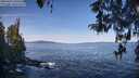 ./images/koeye/fitz-hugh/20260425/fitz-hugh20260425_100502M.jpg