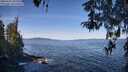 ./images/koeye/fitz-hugh/20260425/fitz-hugh20260425_102501M.jpg