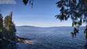 ./images/koeye/fitz-hugh/20260425/fitz-hugh20260425_103502M.jpg
