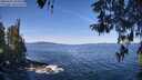 ./images/koeye/fitz-hugh/20260425/fitz-hugh20260425_104502M.jpg