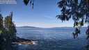 ./images/koeye/fitz-hugh/20260425/fitz-hugh20260425_105501M.jpg