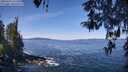 ./images/koeye/fitz-hugh/20260425/fitz-hugh20260425_111502M.jpg