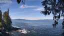 ./images/koeye/fitz-hugh/20260425/fitz-hugh20260425_113002M.jpg