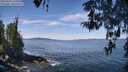 ./images/koeye/fitz-hugh/20260425/fitz-hugh20260425_114002M.jpg