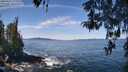 ./images/koeye/fitz-hugh/20260425/fitz-hugh20260425_115002M.jpg