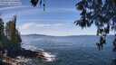 ./images/koeye/fitz-hugh/20260425/fitz-hugh20260425_120501M.jpg