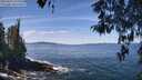 ./images/koeye/fitz-hugh/20260425/fitz-hugh20260425_121002M.jpg