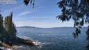 ./images/koeye/fitz-hugh/20260425/fitz-hugh20260425_122501M.jpg