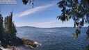 ./images/koeye/fitz-hugh/20260425/fitz-hugh20260425_130501M.jpg
