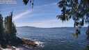 ./images/koeye/fitz-hugh/20260425/fitz-hugh20260425_131501M.jpg