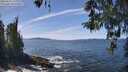 ./images/koeye/fitz-hugh/20260425/fitz-hugh20260425_133001M.jpg