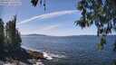 ./images/koeye/fitz-hugh/20260425/fitz-hugh20260425_134001M.jpg