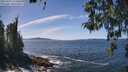 ./images/koeye/fitz-hugh/20260425/fitz-hugh20260425_134501M.jpg