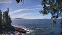 ./images/koeye/fitz-hugh/20260425/fitz-hugh20260425_135001M.jpg