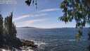 ./images/koeye/fitz-hugh/20260425/fitz-hugh20260425_135501M.jpg