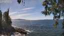 ./images/koeye/fitz-hugh/20260425/fitz-hugh20260425_140001M.jpg
