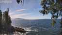 ./images/koeye/fitz-hugh/20260425/fitz-hugh20260425_140501M.jpg