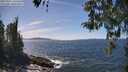 ./images/koeye/fitz-hugh/20260425/fitz-hugh20260425_141002M.jpg