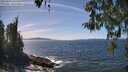 ./images/koeye/fitz-hugh/20260425/fitz-hugh20260425_141501M.jpg