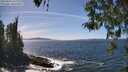./images/koeye/fitz-hugh/20260425/fitz-hugh20260425_142002M.jpg