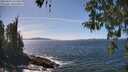 ./images/koeye/fitz-hugh/20260425/fitz-hugh20260425_142501M.jpg