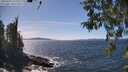 ./images/koeye/fitz-hugh/20260425/fitz-hugh20260425_143001M.jpg