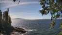 ./images/koeye/fitz-hugh/20260425/fitz-hugh20260425_144001M.jpg