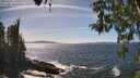 ./images/koeye/fitz-hugh/20260425/fitz-hugh20260425_151001M.jpg