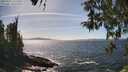 ./images/koeye/fitz-hugh/20260425/fitz-hugh20260425_151501M.jpg