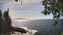 ./images/koeye/fitz-hugh/20260425/fitz-hugh20260425_154001M.jpg