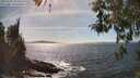 ./images/koeye/fitz-hugh/20260425/fitz-hugh20260425_154501M.jpg